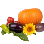 Fresh Produce product