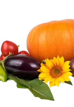 Fresh Produce product